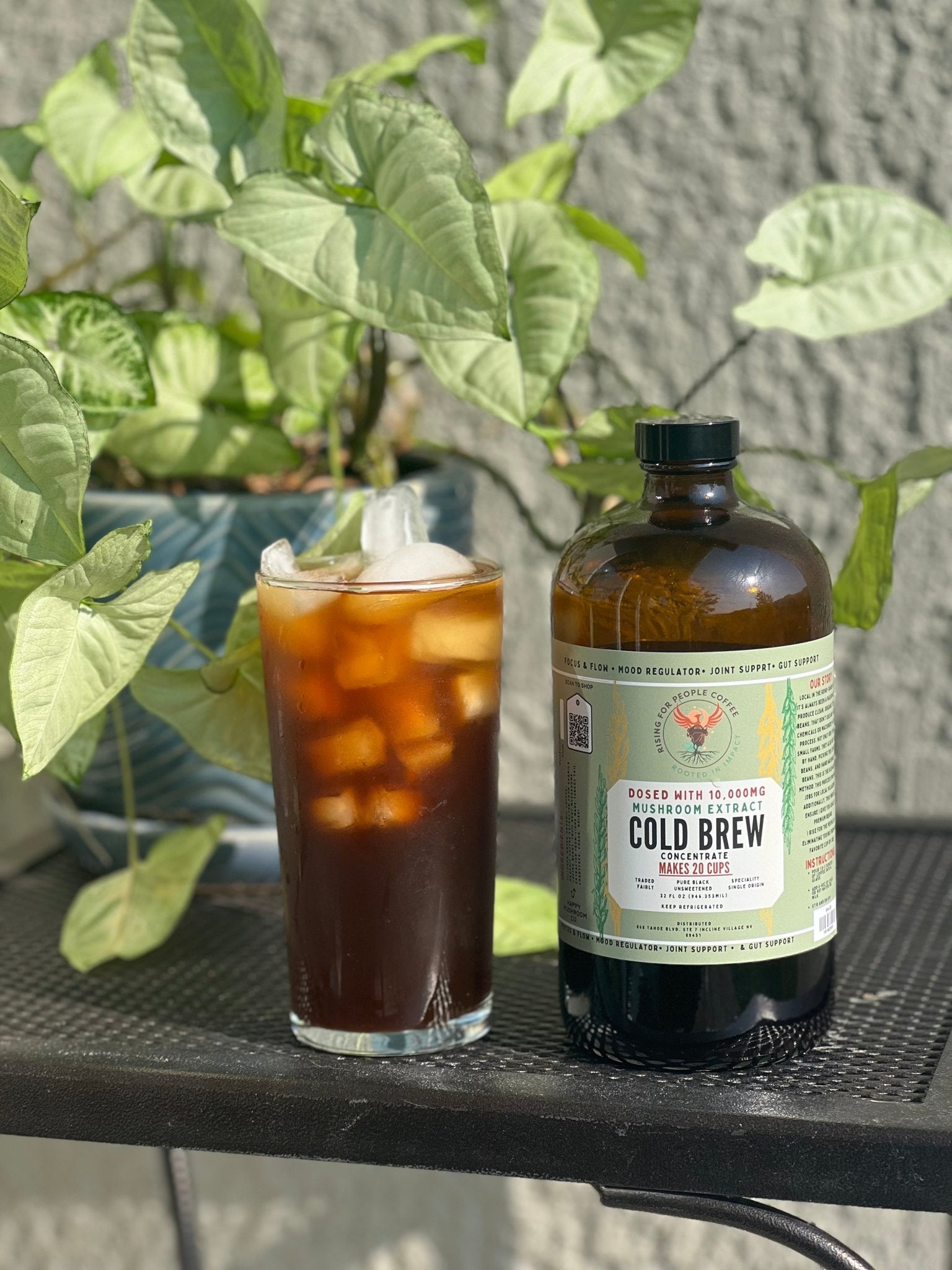 Happy Mushroom Cold Brew & Thai Chai Concentrate - Rising For People Coffee Co.CoffeeRising For People Coffee Co.Rising For People Coffee Co.Rising For people coffee mushroom cold brew coffee bottle. Specialty gourmet concentrated cold brew dosed with lions mane, Chaga, Cordyceps, turkey tail, Reishi - video Latte, Cappuccino, Coffee shop, Coffee shop near, Coffee near me, Roasted coffee, Speciality coffee, Green coffee, Black coffee, Espresso machine, French press, Espresso, Takeout coffee near