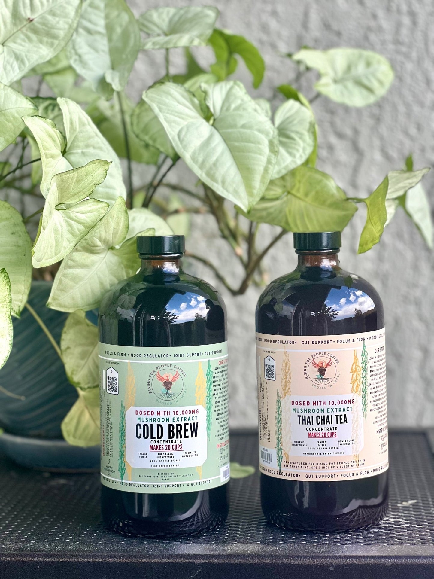 Happy Mushroom Cold Brew & Thai Chai Concentrate - Rising For People Coffee Co.CoffeeRising For People Coffee Co.Rising For People Coffee Co.Happy Mushroom Cold Brew & Thai Chai Concentrate