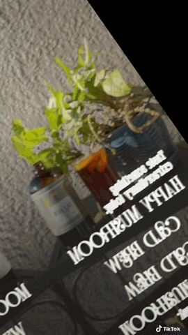 Rising For people coffee mushroom cold brew coffee bottle. Specialty gourmet concentrated cold brew dosed with lions mane, Chaga, Cordyceps, turkey tail, Reishi- video Latte,
Cappuccino,
Coffee shop,
Coffee shop near,
Coffee near me,
Roasted coffee,
Speciality coffee,
Green coffee,
Black coffee,
Espresso machine,
French press,
Espresso,
Takeout coffee near