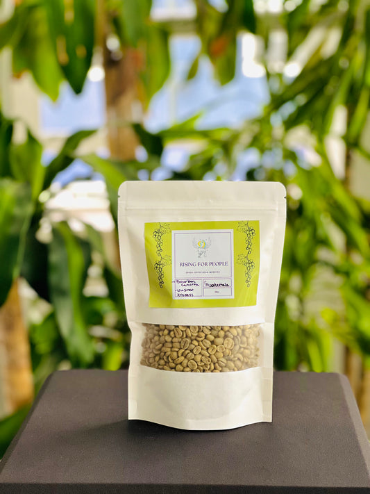Rising for People Coffee bag— Guatemala Green Coffee Beans (RAW)
