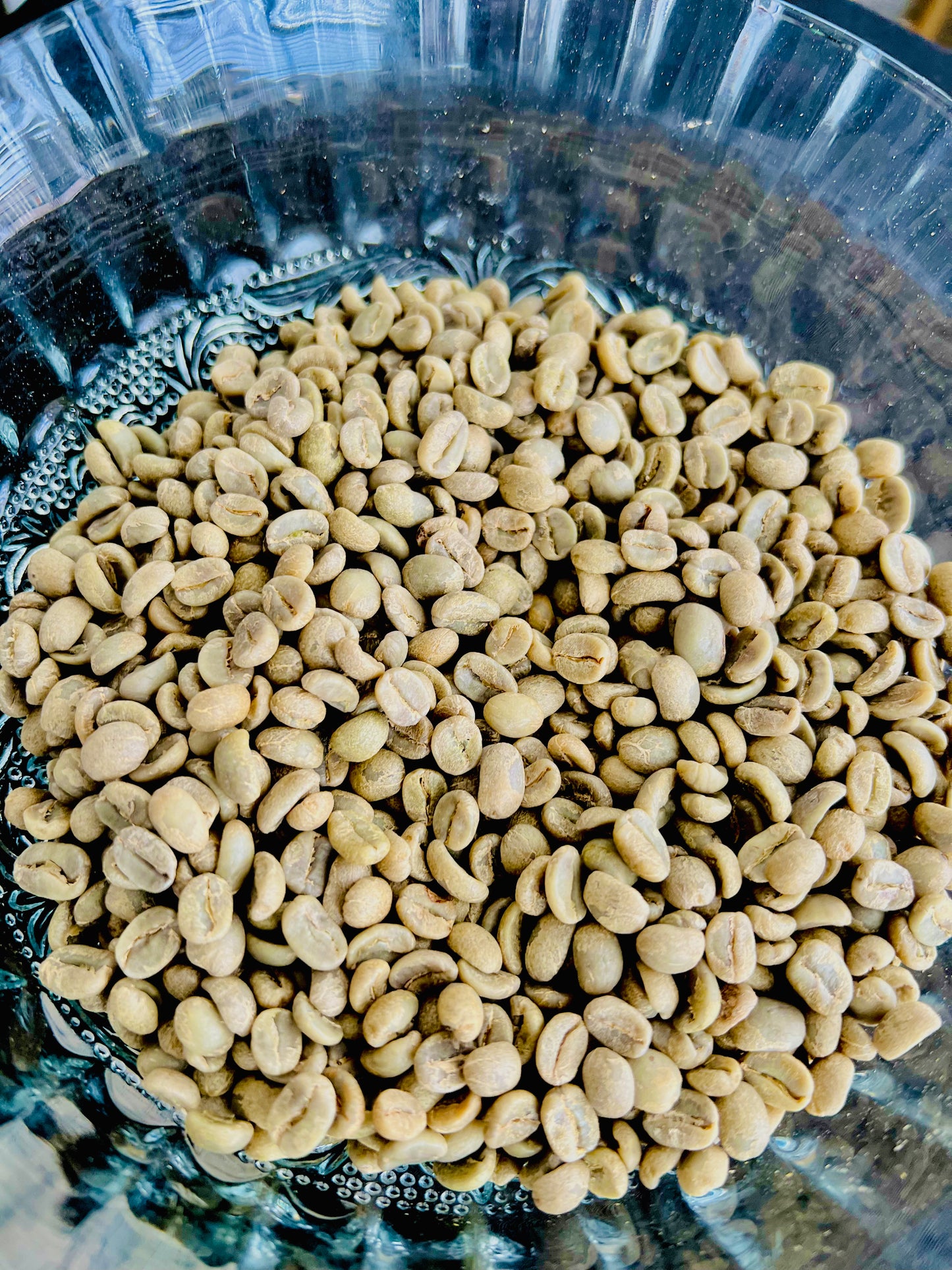 Rising for People Coffee bag— Nicaragua Green Coffee Beans (RAW)