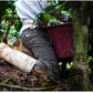 Costa Rica Obata Honey