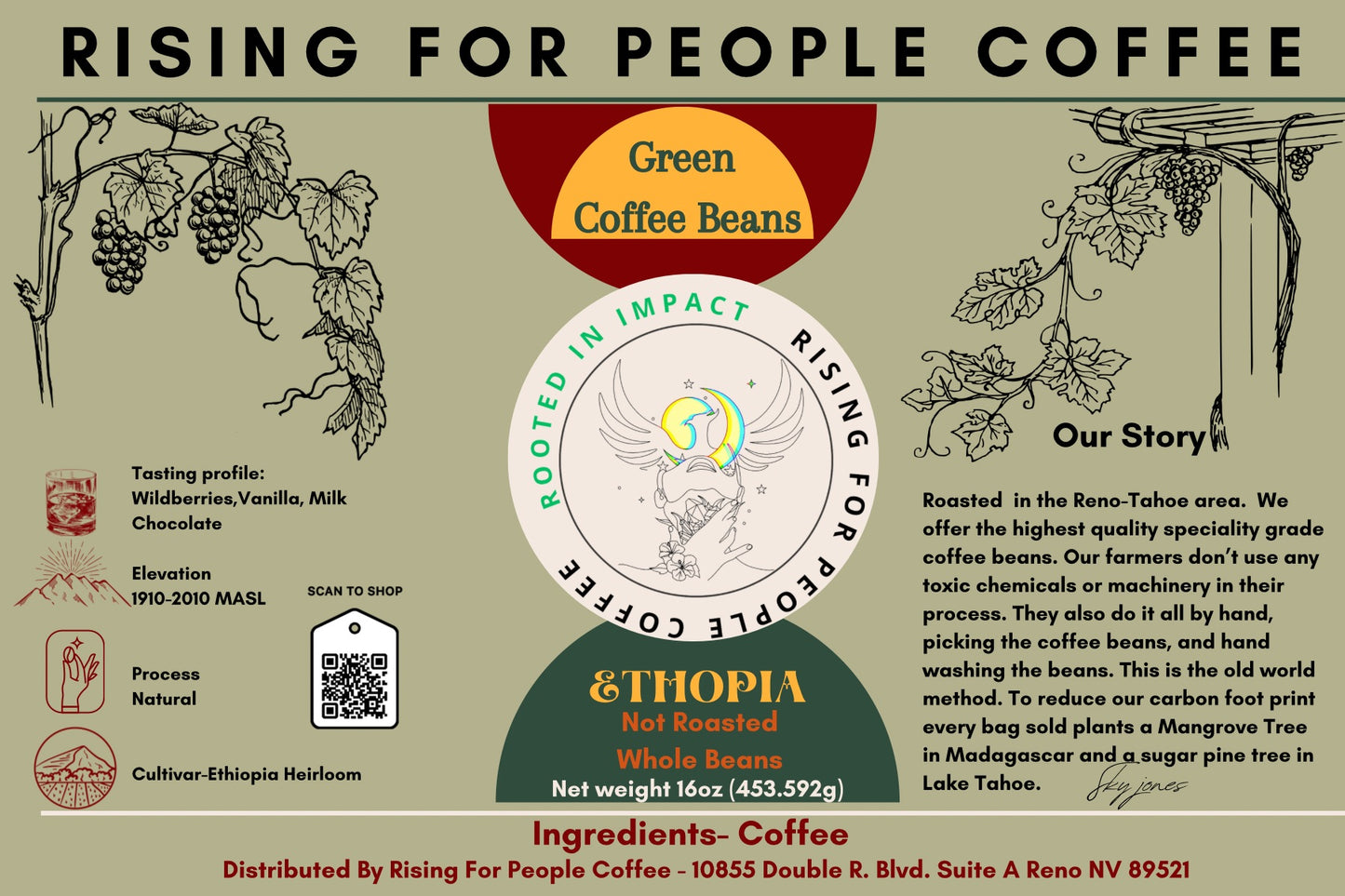 Éthiopie - Grains de café verts naturels 