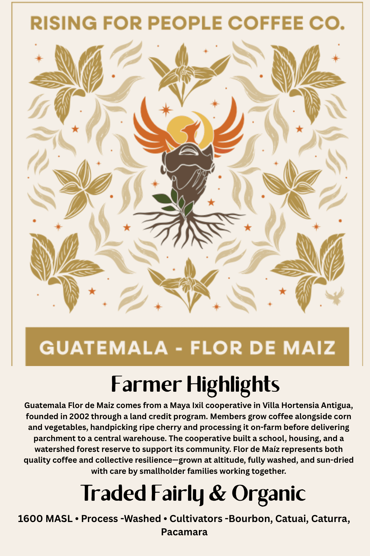 Guatemala Coffee Roast - Medium Dark Roast - Rising For People Coffee Co.CoffeeRising For People Coffee Co.Rising For People Coffee Co.1263577Guatemala Coffee Roast - Medium Dark Roast