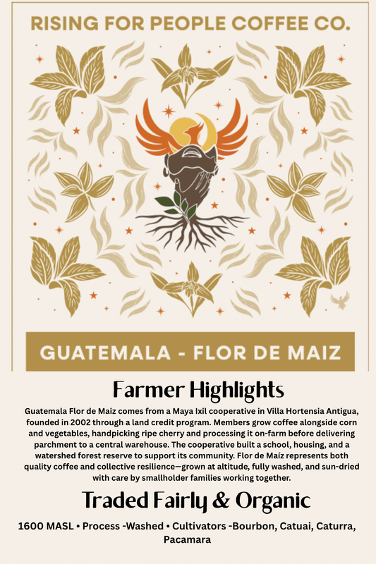 Guatemala Coffee Roast - Medium Dark Roast - Rising For People Coffee Co.CoffeeRising For People Coffee Co.Rising For People Coffee Co.1263577Guatemala Coffee Roast - Medium Dark Roast