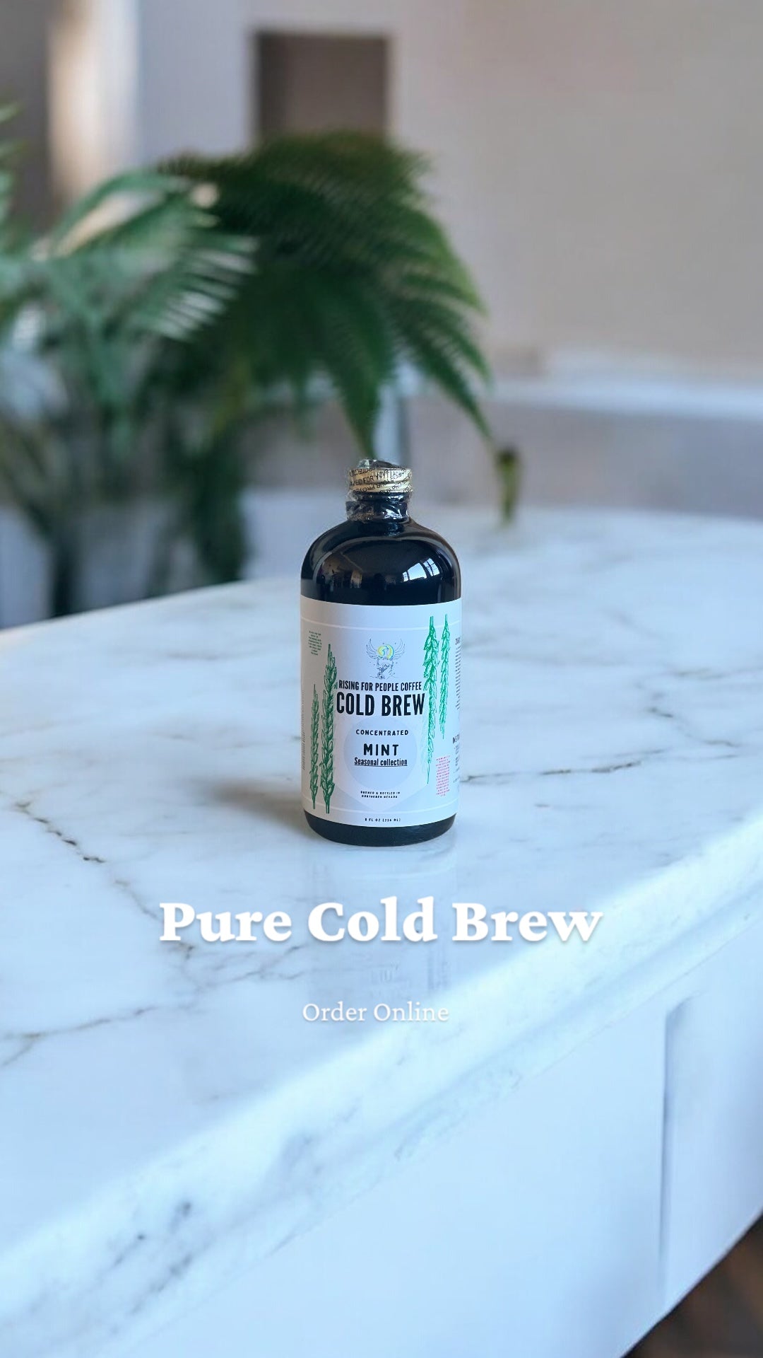 Limited Edition - Cool Mint Cold Brew Concentrate Coffee - Rising For People Coffee Co.CoffeeRising For People Coffee Co.Rising For People Coffee Co.Rising for people coffee spring collection of the cool mint cold brew coffee concentrate. Best for lattes, cold brew, baking, cooking , sugar free coffee, dairy free coffee, organic and speciality coffee, near me, gourmet coffee, black owned coffee company , Latte, Cappuccino, Coffee shop, Coffee shop near, Coffee near me, Roasted coffee, Speciality