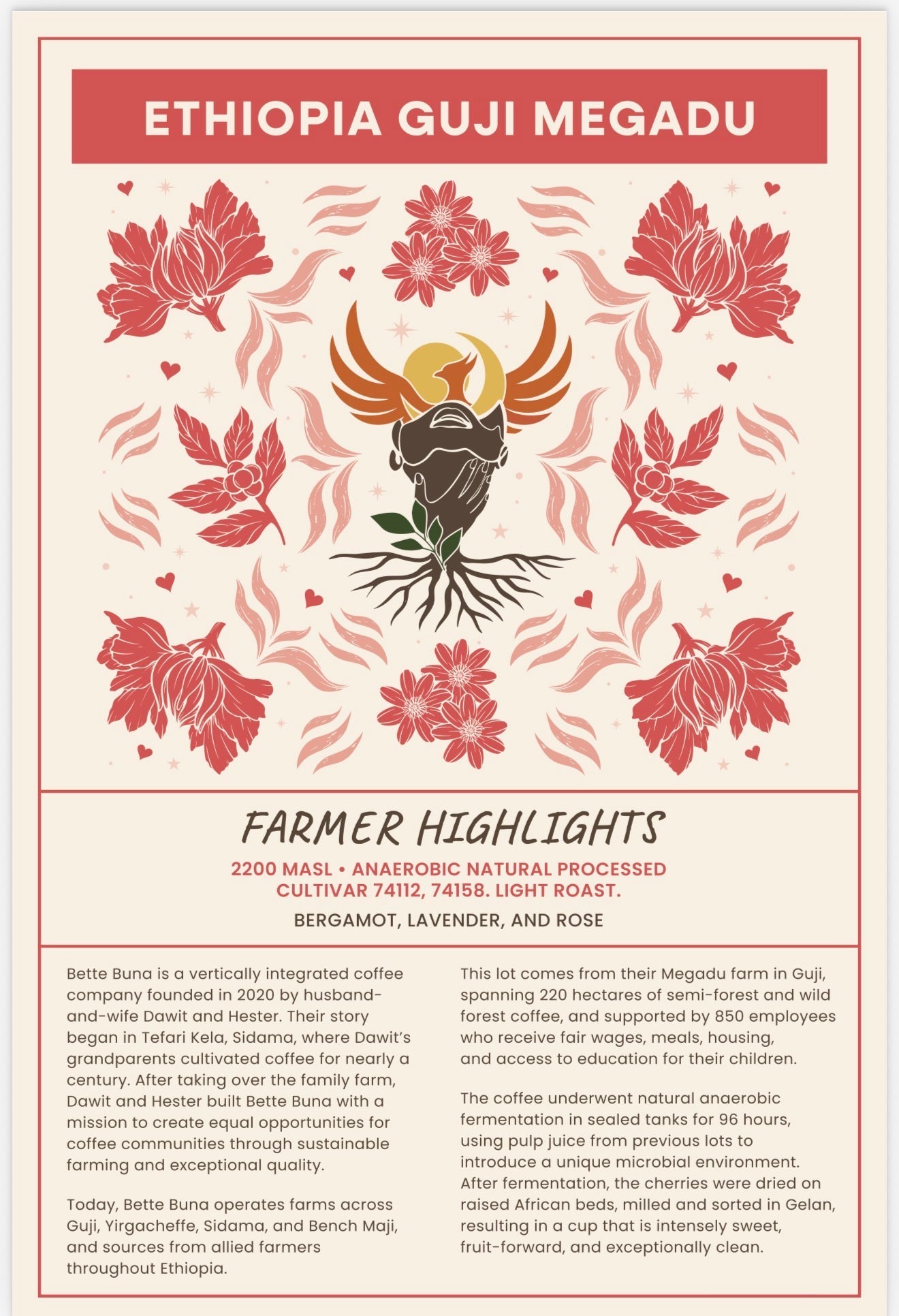 Valentines Edition: Ethiopia Guji Megadu Anaerobic - Light Roast - Rising For People Coffee Co.CoffeeRising For People Coffee Co.Rising For People Coffee Co.198168438220Valentines Edition: Ethiopia Guji Megadu Anaerobic - Light Roast