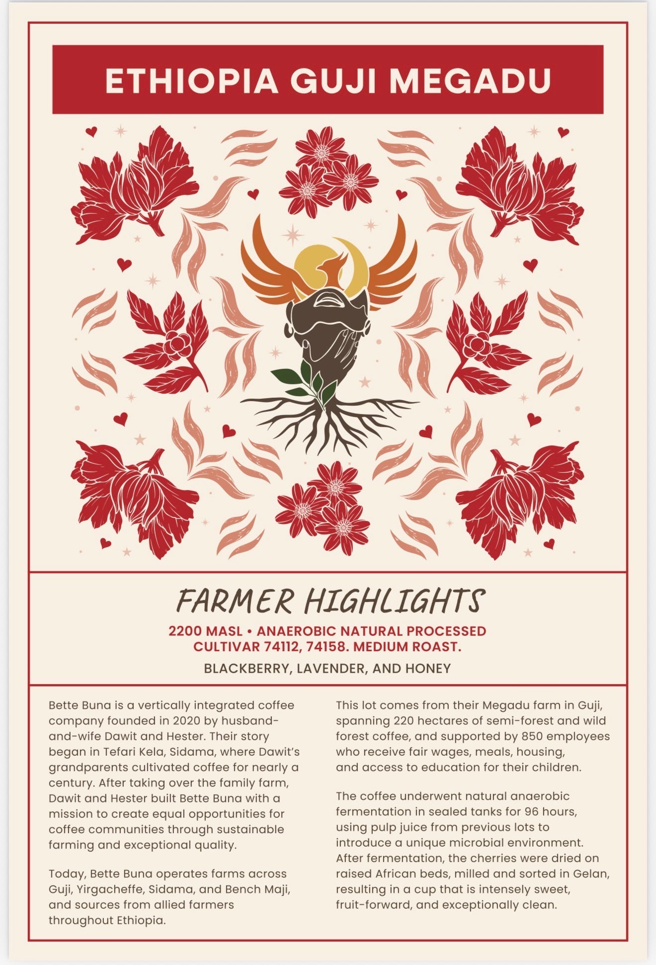 Valentines Edition: Ethiopia Guji Megadu Anaerobic - Medium Roast - Rising For People Coffee Co.CoffeeRising For People Coffee Co.Rising For People Coffee Co.198168438220Valentines Edition: Ethiopia Guji Megadu Anaerobic - Medium Roast