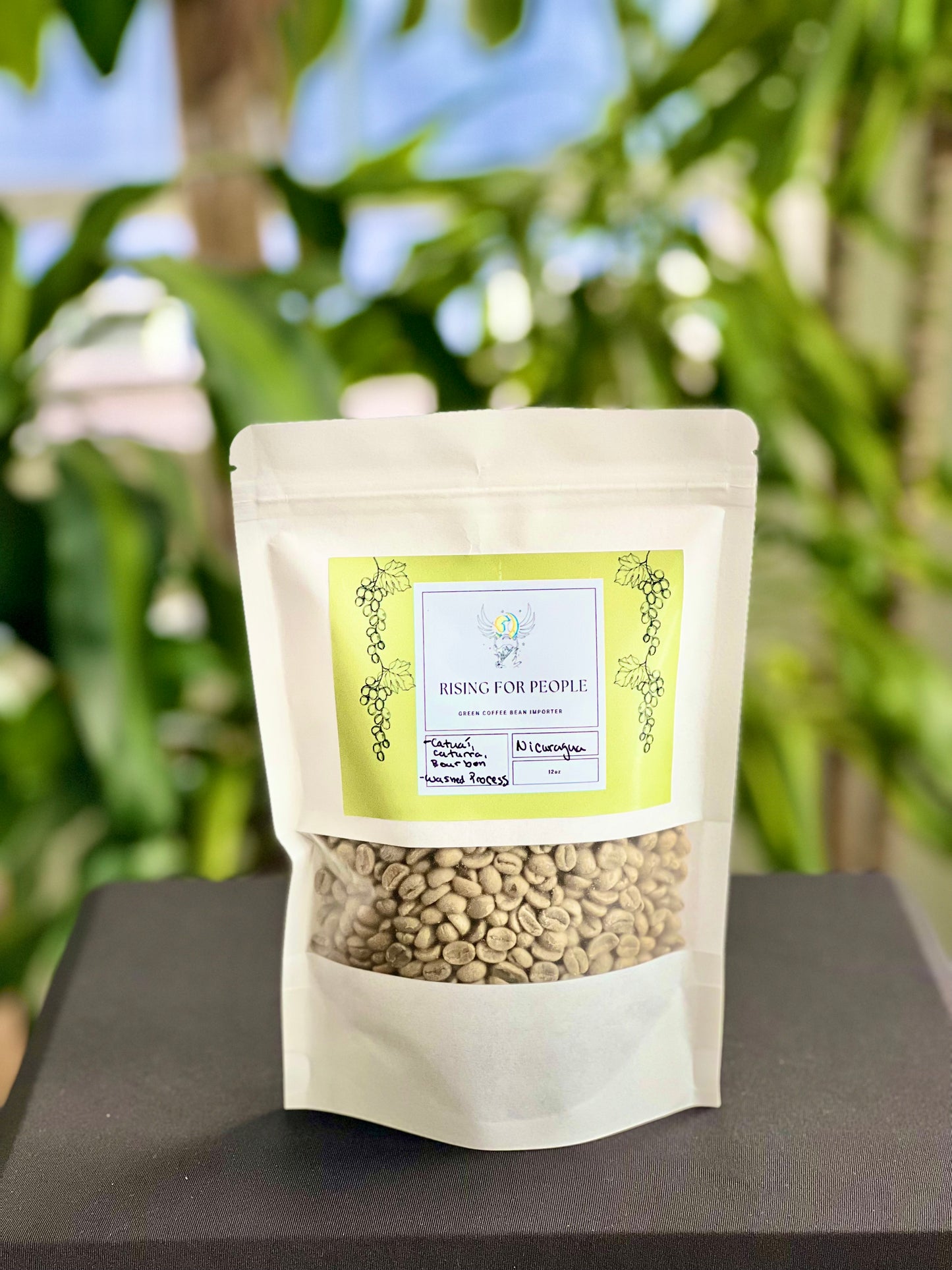 Nicaragua – Grains de café vert 