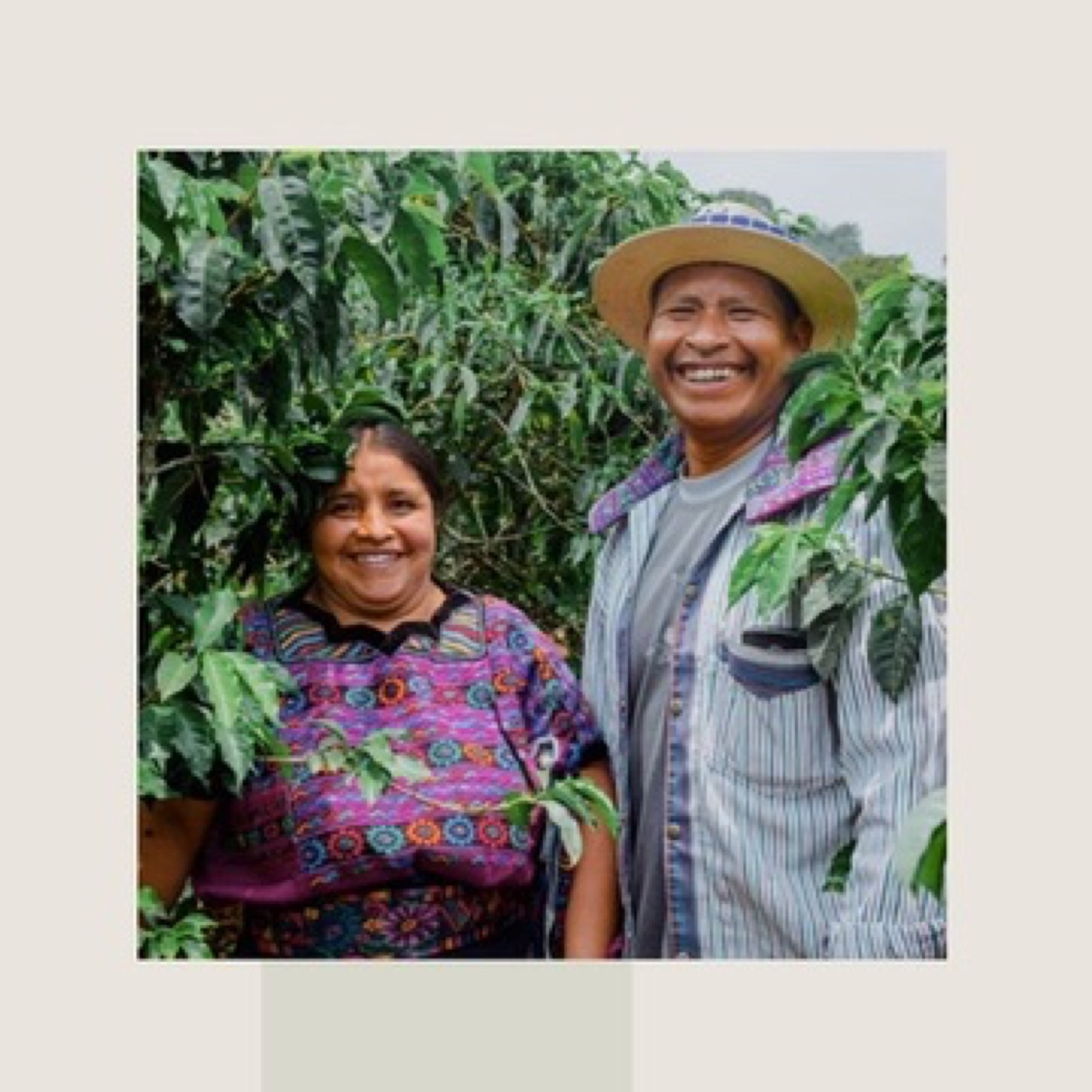 Family-run, women-led coffee farmers we partner with directly — no brokers